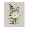Stupell Industries Bumble Bee & Flower Canvas Design by House Fenway